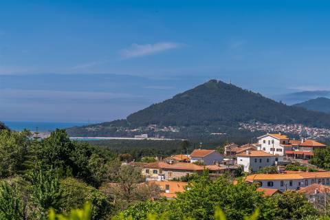 Terreno Moledo