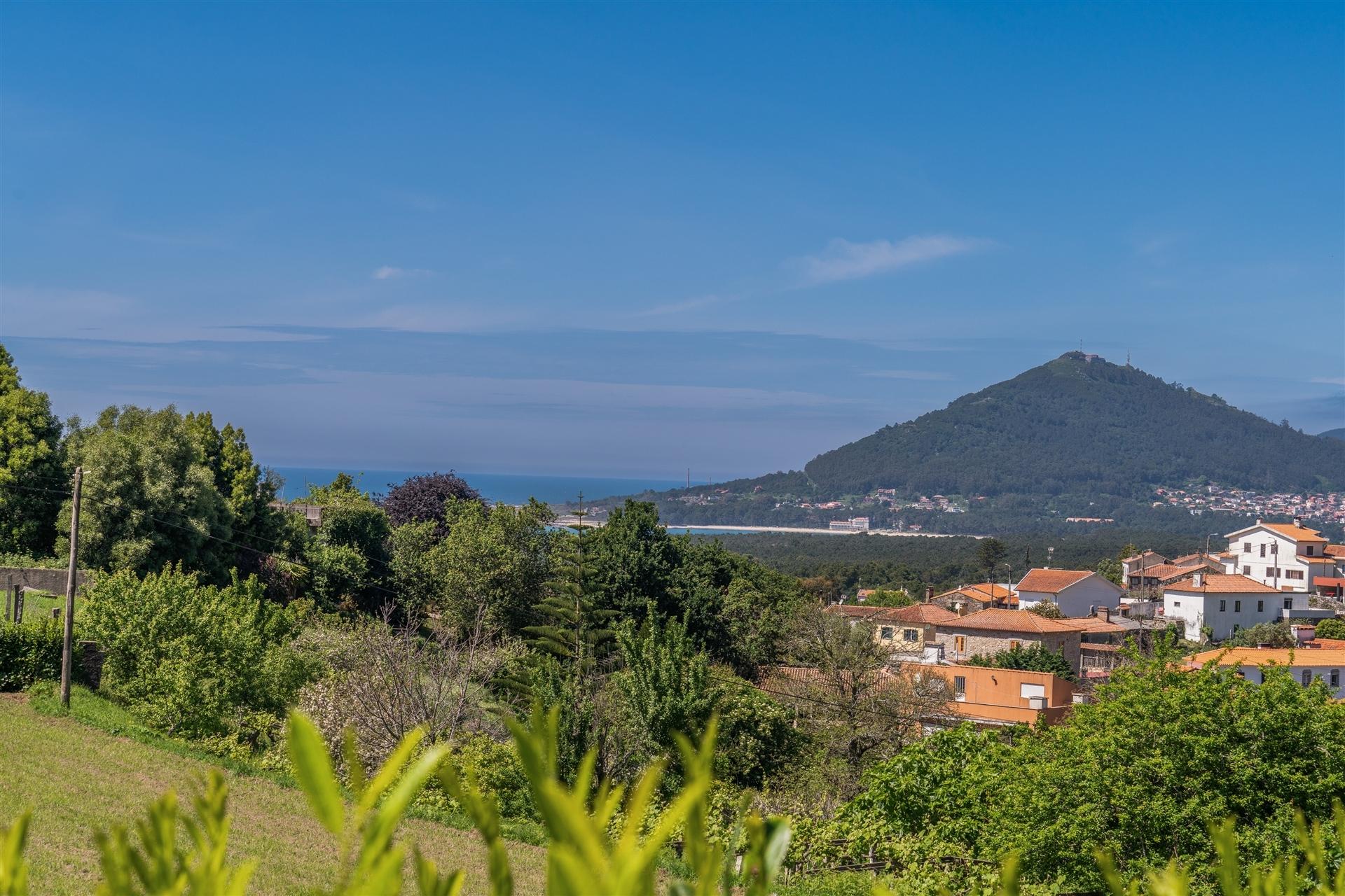 Terreno Moledo