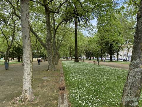 Andar Moradia T2 c/ jardim ao Parque da Cidade