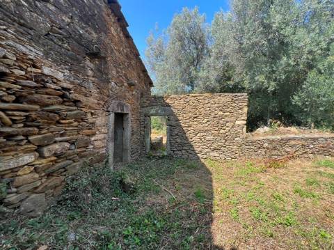 Terreno com ruína e anexos | Orbacém