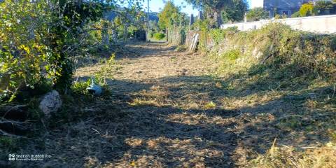 Terreno com ruína e anexos | Orbacém
