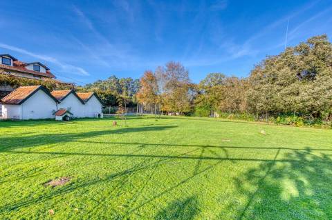 Quinta T7+3 com jardim, bosque e piscina | Grande Porto