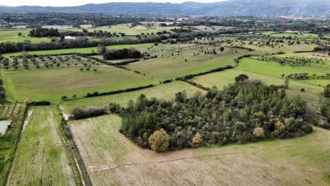 Quinta com 23 hectares junto a serra da gardunha, Soalheira Fundão