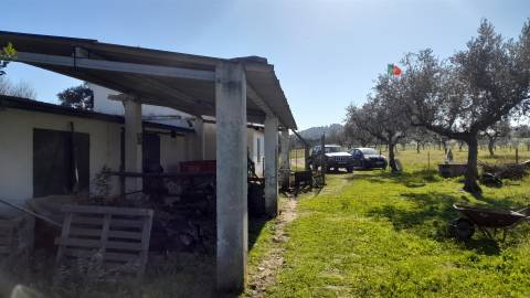 Quinta T0 Venda em Vila Velha de Ródão,Vila Velha de Ródão
