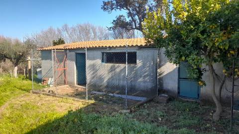 Quinta T0 Venda em Vila Velha de Ródão,Vila Velha de Ródão