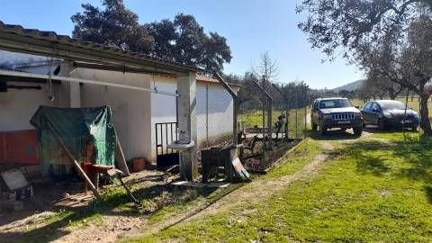 Quinta T0 Venda em Vila Velha de Ródão,Vila Velha de Ródão