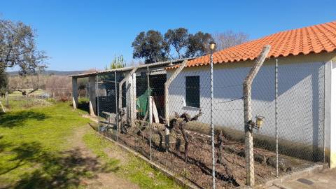 Quinta T0 Venda em Vila Velha de Ródão,Vila Velha de Ródão