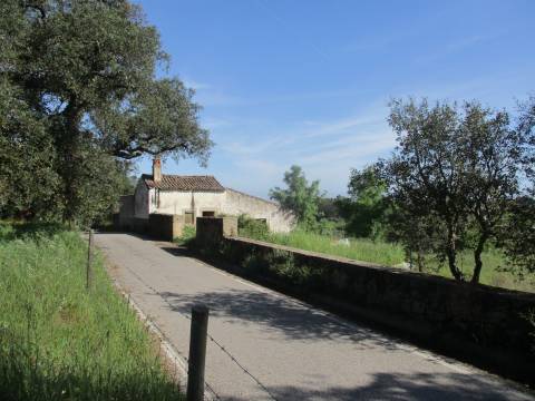 Quinta com habitação, poço, sobreiro, casa
