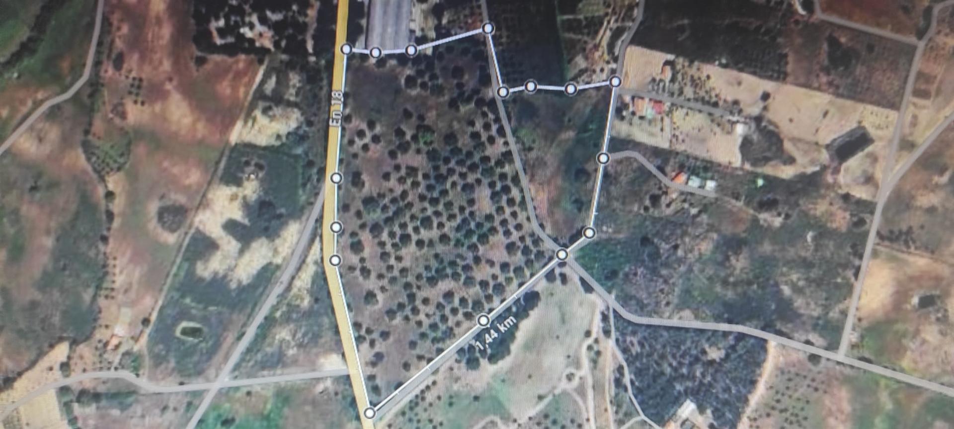 Quinta com habitação, poço, sobreiro, casa