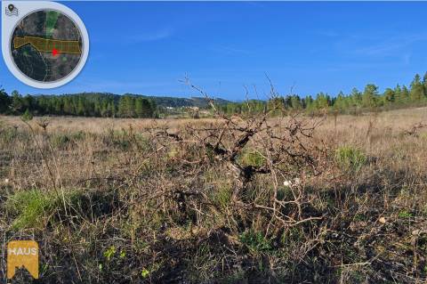 Terreno com 26.000 m² à venda em Castelo Branco.