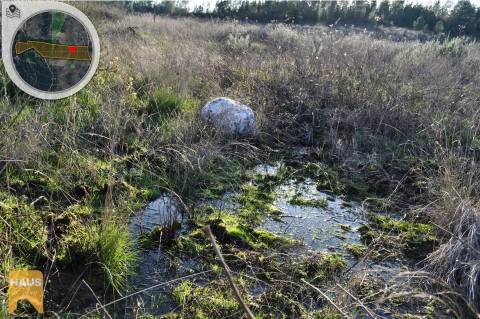 Terreno com 26.000 m² à venda em Castelo Branco.