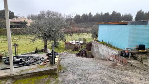 Quinta T3 Venda em Escalos de Baixo e Mata,Castelo Branco