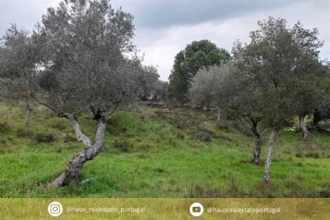 Terreno Para Construção  Venda em Benquerenças,Castelo Branco