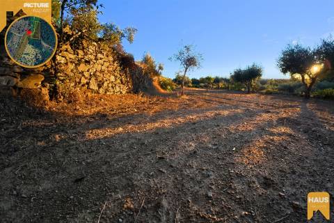 Terreno Rústico de 2.900 m² em Juncal do Campo – Castelo Branco.
