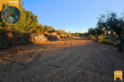 Terreno Rústico de 2.900 m² em Juncal do Campo – Castelo Branco.