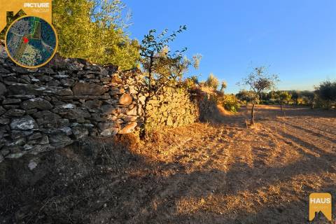 Terreno Rústico de 2.900 m² em Juncal do Campo – Castelo Branco.