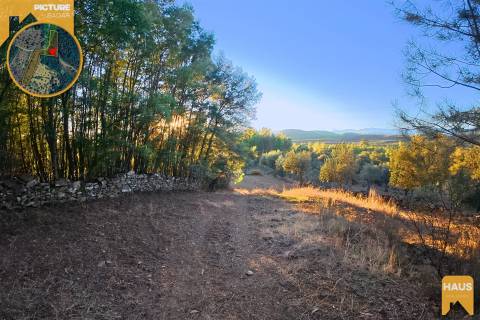 Terreno Rústico de 2.900 m² em Juncal do Campo – Castelo Branco.