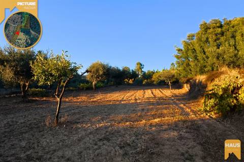 Terreno Rústico de 2.900 m² em Juncal do Campo – Castelo Branco.