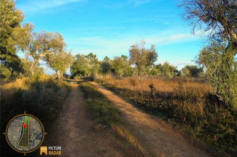 Terreno Plano 6.700m² c/ Vistas Panorâmicas – Salgueiro do Campo