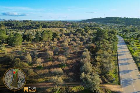 Terreno Plano 6.700m² c/ Vistas Panorâmicas – Salgueiro do Campo