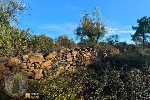 Terreno Plano 6.700m² c/ Vistas Panorâmicas – Salgueiro do Campo