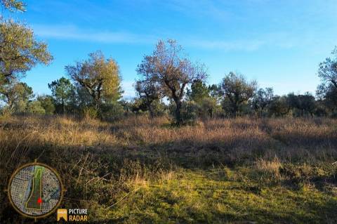 Terreno Plano 6.700m² c/ Vistas Panorâmicas – Salgueiro do Campo