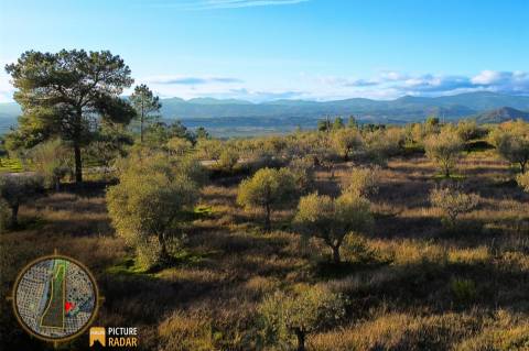 Terreno Plano 6.700m² c/ Vistas Panorâmicas – Salgueiro do Campo