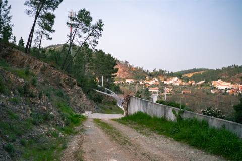 Terreno Rústico  Venda em Sarzedas,Castelo Branco