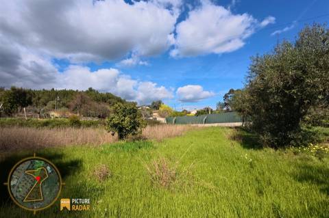 Terreno 2.680m² | Poço e Olival | Palvarinho, Castelo Branco
