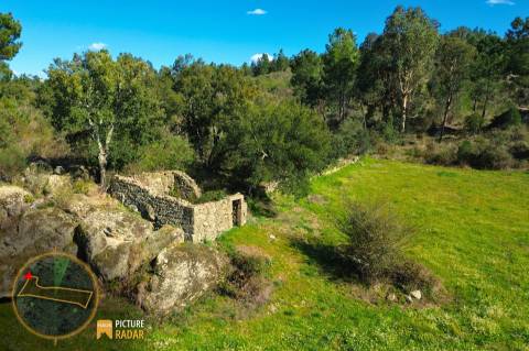 Terreno 1.1ha com Ruína e Vale Fértil | Cafede, Castelo Branco