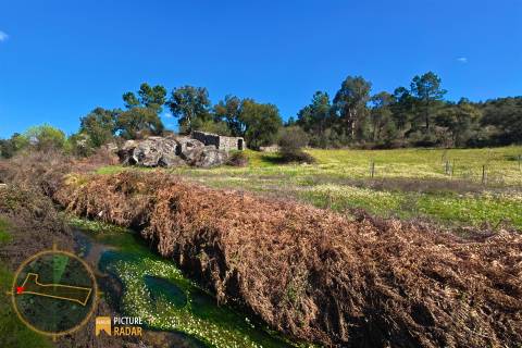 Terreno 1.1ha com Ruína e Vale Fértil | Cafede, Castelo Branco