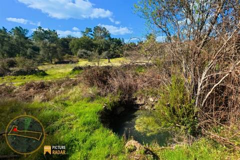 Terreno 1.1ha com Ruína e Vale Fértil | Cafede, Castelo Branco