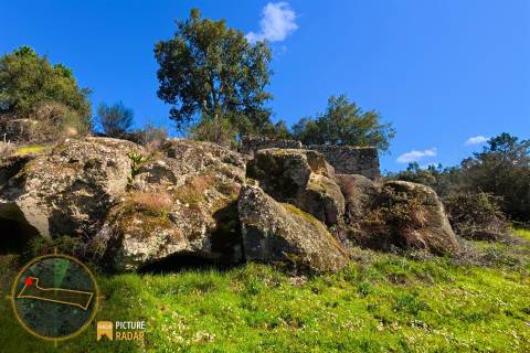 Terreno 1.1ha com Ruína e Vale Fértil | Cafede, Castelo Branco