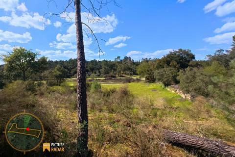 Terreno 1.1ha com Ruína e Vale Fértil | Cafede, Castelo Branco