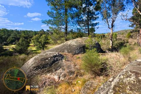 Terreno 1.1ha com Ruína e Vale Fértil | Cafede, Castelo Branco