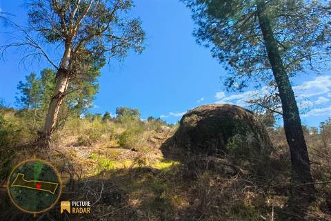 Terreno 1.1ha com Ruína e Vale Fértil | Cafede, Castelo Branco