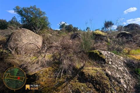 Terreno 1.1ha com Ruína e Vale Fértil | Cafede, Castelo Branco