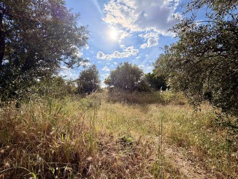 Terreno Para Construção  Venda em Alcains,Castelo Branco