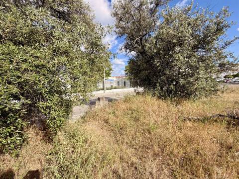Terreno Para Construção  Venda em Alcains,Castelo Branco