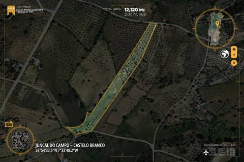 Terreno vedado com Ruína e 3 Poços - Juncal do Campo, PT