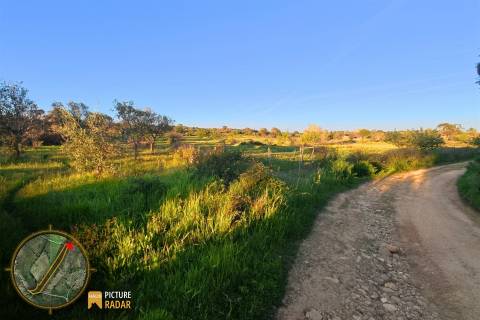 Terreno vedado com Ruína e 3 Poços - Juncal do Campo, PT