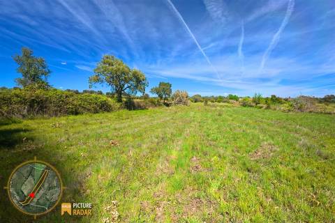 Terreno vedado com Ruína e 3 Poços - Juncal do Campo, PT