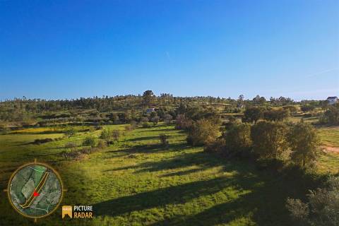 Terreno vedado com Ruína e 3 Poços - Juncal do Campo, PT