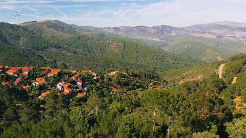 Terreno Rústico  Venda em Almaceda,Castelo Branco