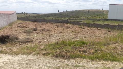 Terreno Para Construção  Venda em Castelo Branco,Castelo Branco