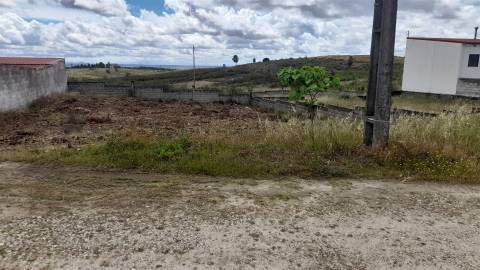 Terreno Para Construção  Venda em Castelo Branco,Castelo Branco