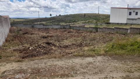 Terreno Para Construção  Venda em Castelo Branco,Castelo Branco