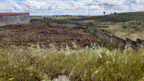 Terreno Para Construção  Venda em Castelo Branco,Castelo Branco