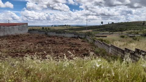 Terreno Para Construção  Venda em Castelo Branco,Castelo Branco