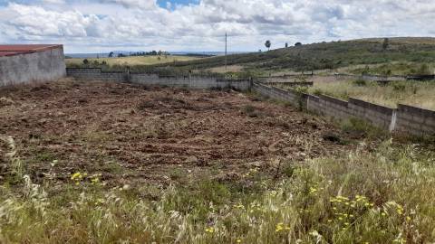 Terreno Para Construção  Venda em Castelo Branco,Castelo Branco
